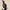 ClassyWalk® - S200 N MAX 2024 - Trendit.no