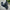 ClassyWalk® - S330 N MAX – Elektrisk Sparkesykkel - Stayclassy.no (6633326280787)