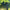 ClassyWalk® - S330 N MAX – Elektrisk Sparkesykkel - Stayclassy.no (6633326280787)