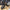 🛴🔧 Reparasjonsprosjekt - ClassyWalk® S600 (A12)