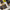 🛴🔧 Reparasjonsprosjekt - ClassyWalk® GoKart (A19)