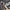 🛴🔧 Reparasjonsprosjekt - ClassyWalk® S200 N (A20)