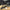 🛴🔧 Reparasjonsprosjekt - ClassyWalk® S200 N (A24)
