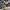 🛴🔧 Reparasjonsprosjekt - ClassyWalk® Performance N3 (A42)