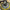 🛴🔧 Reparasjonsprosjekt - ClassyWalk® S200 N MAX (A65)