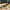 🛴🔧 Reparasjonsprosjekt - ClassyWalk® S50 (A73)