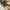 🛴🔧 B-Vare - ClassyWalk® 3 (A76 B)