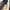 🛴🔧 Reparasjonsprosjekt - ClassyWalk® Performance N6 (A80)
