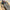 🛴🔧 Reparasjonsprosjekt - ClassyWalk® Performance N5 (A89)