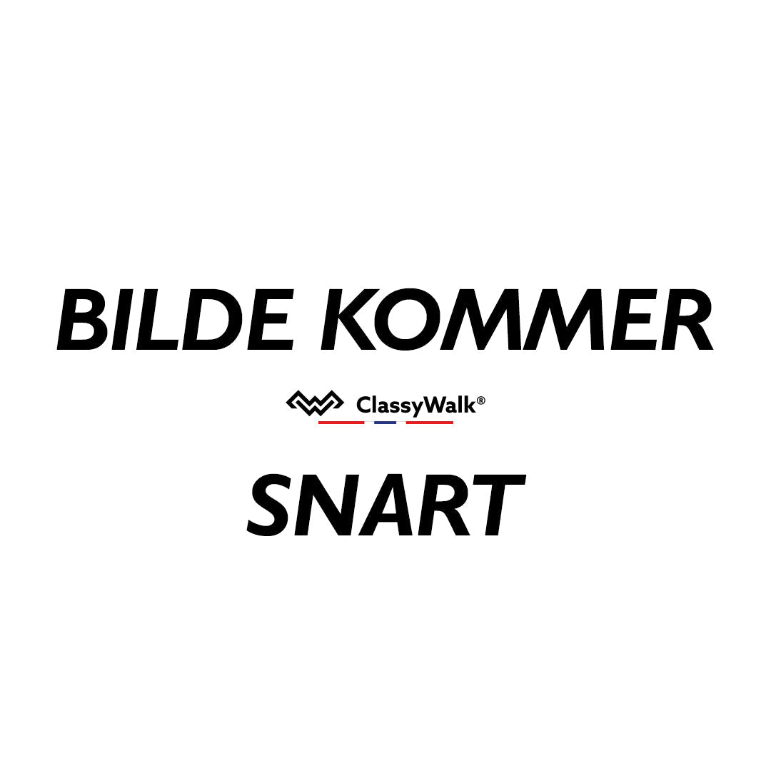 Motor til ClassyWalk S100 / S100 N