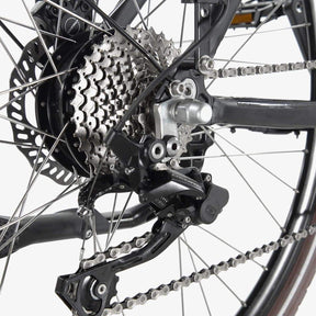 ClassyWalk® CB300 EL-sykkel (4158281220179)