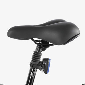ClassyWalk® MB300 EL-sykkel (4158286069843)